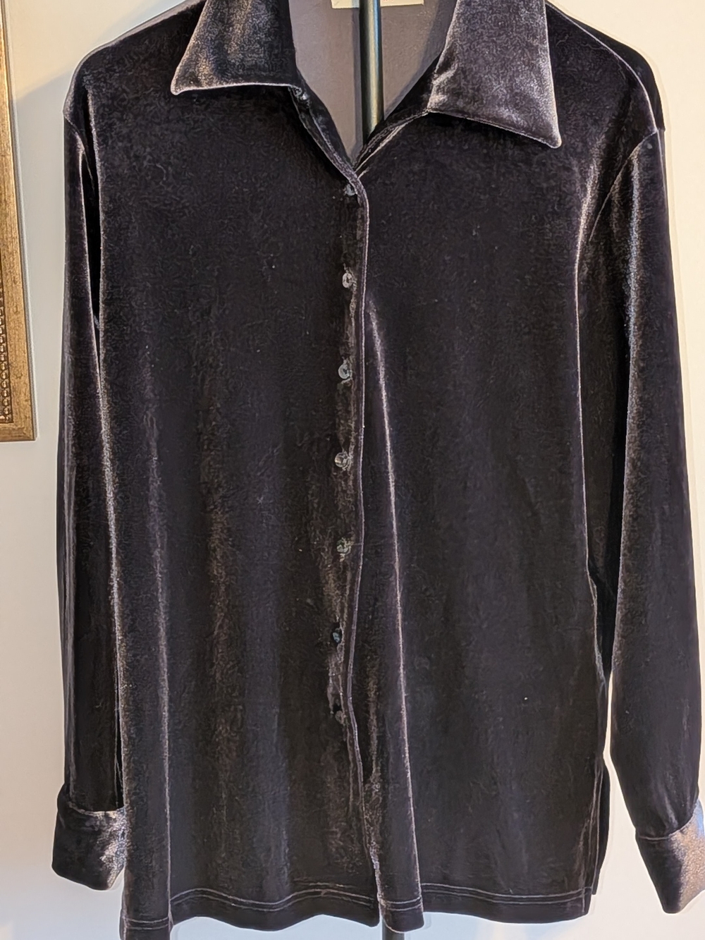 Valerie Stevens Sport Vintage Velvet Velour Button Down Shirt